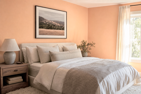 Cinnamon by Benjamin Moore