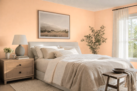 Southern Peach by Valspar