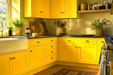 Lemon by Benjamin Moore