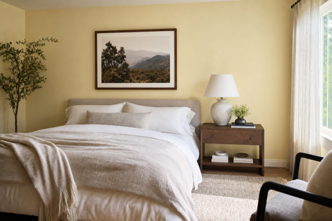 Pale by Benjamin Moore
