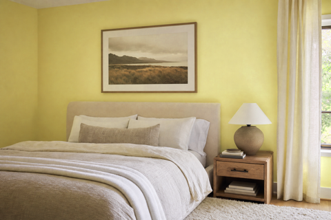 Hibiscus by Benjamin Moore