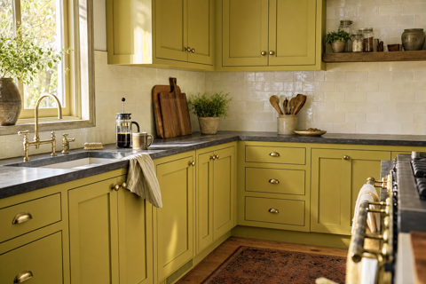 Lichen by Benjamin Moore