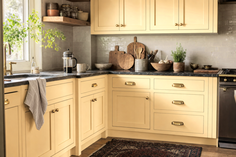 Desert by Benjamin Moore