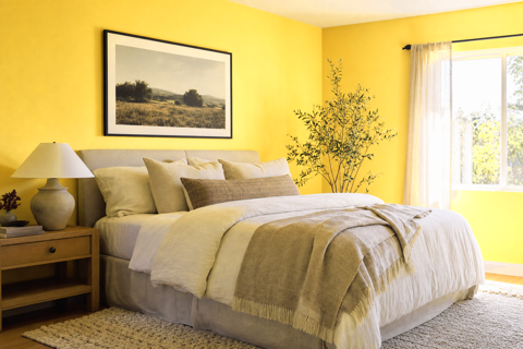 Golden Haze by Valspar