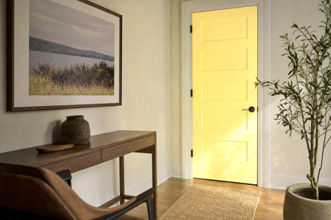 Pineapple by Benjamin Moore