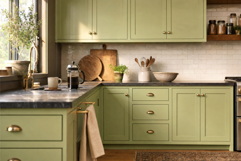 Brush Meadow by Valspar