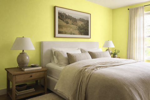 Fluorescent Lime by Valspar