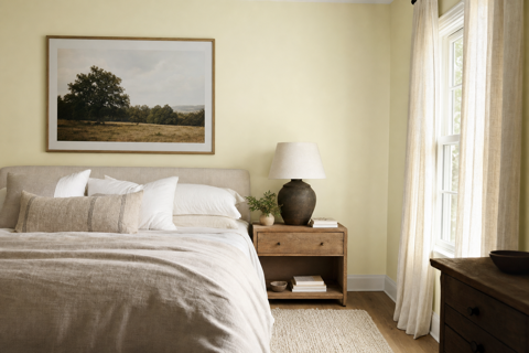Meadow by Benjamin Moore