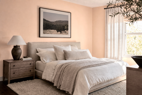 Mochachino by Benjamin Moore