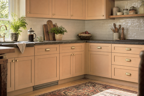 Rawhide by Benjamin Moore