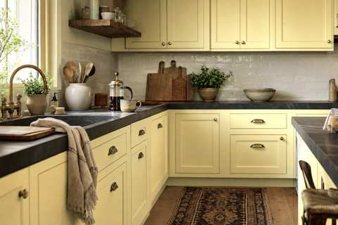 Lime by Benjamin Moore