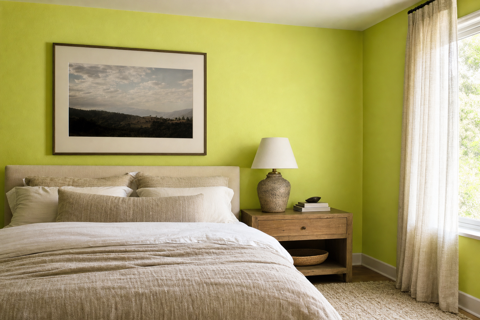 Limeade by Benjamin Moore