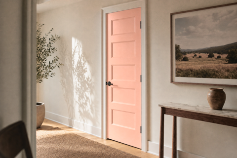 Smoky Salmon by Sherwin-Williams