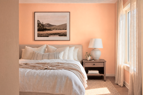 Certain Peach by Sherwin-Williams