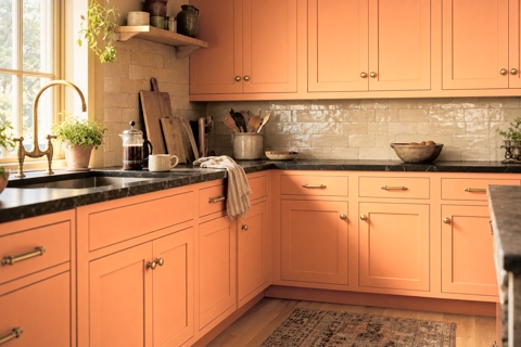 Inventive Orange by Sherwin-Williams