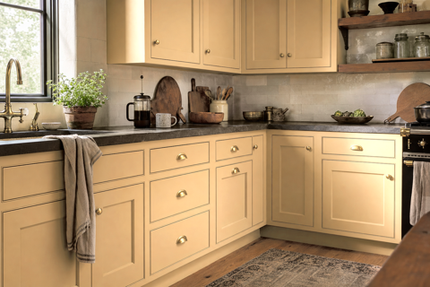 Dromedary Camel by Sherwin-Williams