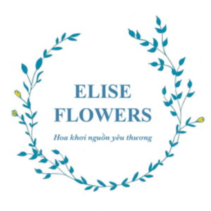 Elise Flowers : dienhoahanoi24h