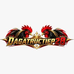 dagatructiep28 com : dagatructiep28