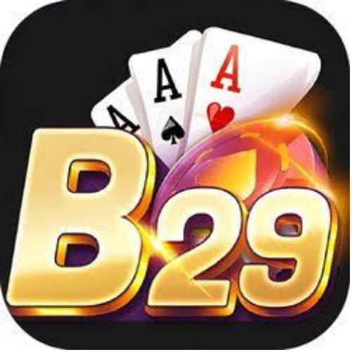 B29  : b29jpnet