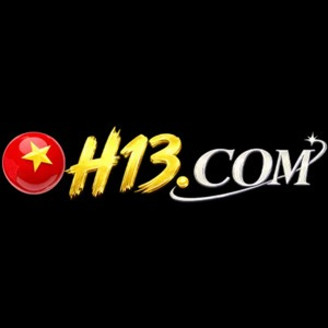 H13  : h13digital1