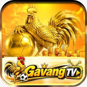 Sân Chơi  GAVANGTV : gavangtvjpnet