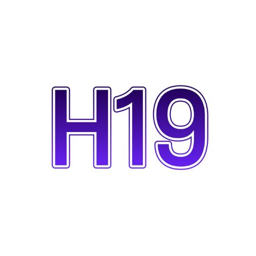 H19  : h19rucom