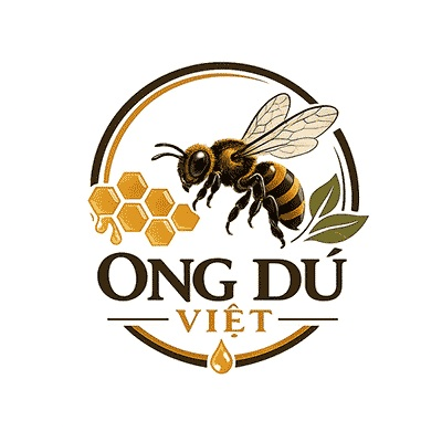 Ong Dú Việt : ongduvietvn