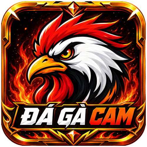 ĐÁ GÀ CAM  : dagacamvideo