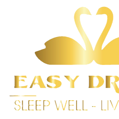 EasyDream Việt Nam : easydream2026