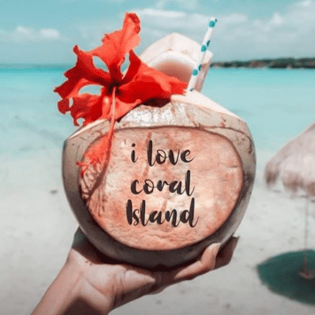 coral island : coralislandpattaya