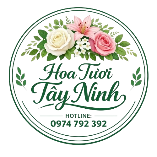HOA TƯƠI TÂY NINH : hoatuoitayninh