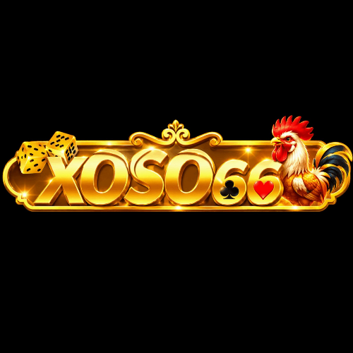 Xoso66 jvcom : xoso66jvcom