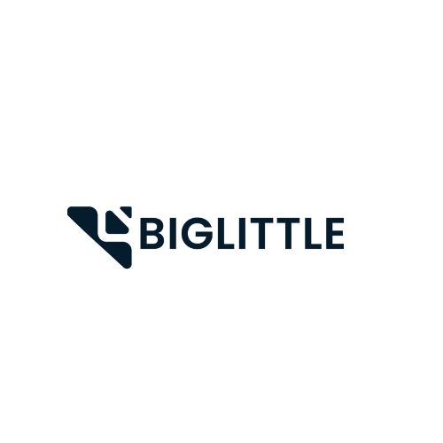 Big  Little AI : biglittleai