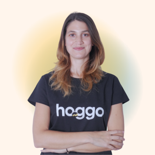 hoggo_io