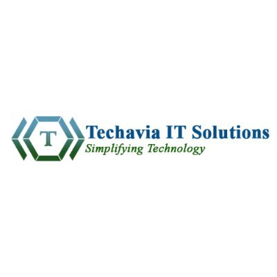 Techavia IT