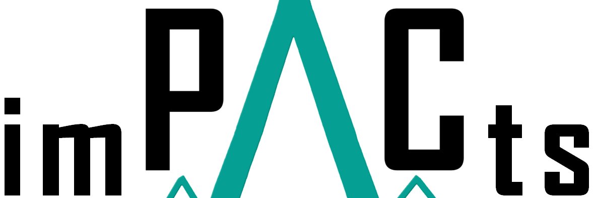 Awesome Impacts LLC majors in software development and digital marketing.