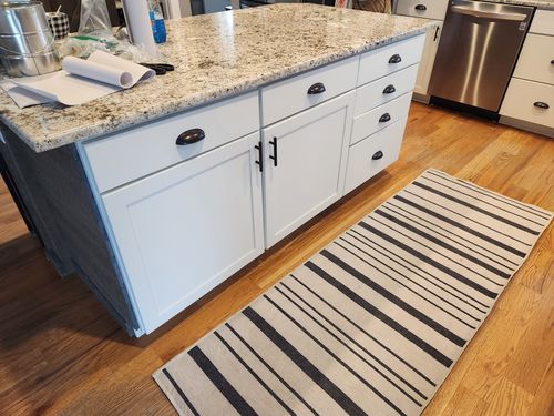 Wild Fox Painting Cabinets project