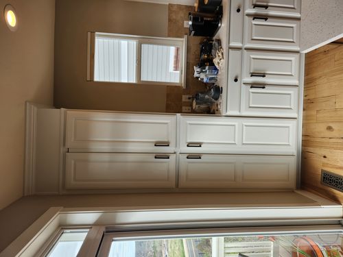 Wild Fox Painting Cabinets project