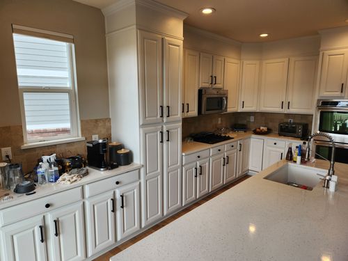 Wild Fox Painting Cabinets project