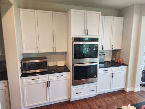 Wild Fox Painting Cabinets project
