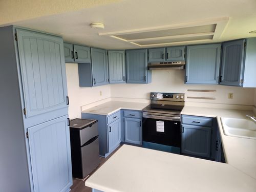 Wild Fox Painting Cabinets project