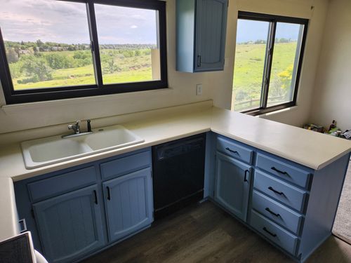 Wild Fox Painting Cabinets project