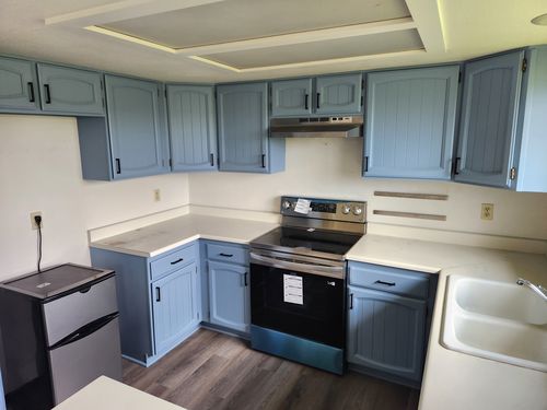 Wild Fox Painting Cabinets project