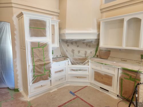 Wild Fox Painting Cabinets project
