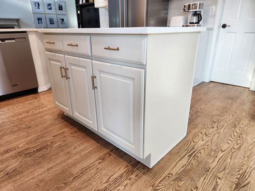 Wild Fox Painting Cabinets project