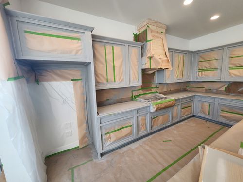 Wild Fox Painting Cabinets project
