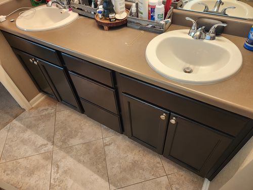 Wild Fox Painting Cabinets project