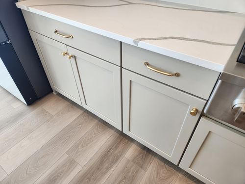 Wild Fox Painting Cabinets project