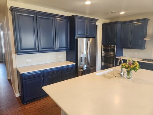 Wild Fox Painting Cabinets project
