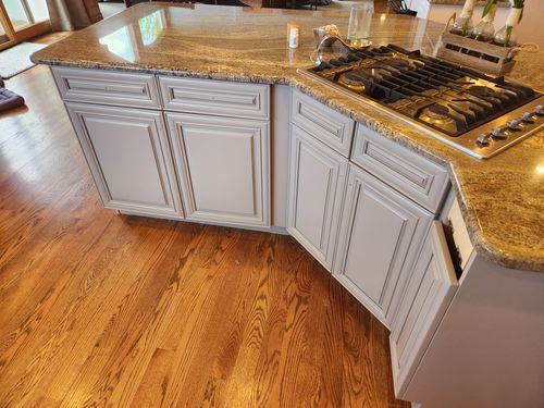 Wild Fox Painting Cabinets project